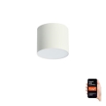 Immax NEO 07241L - LED Regulowane oświetlenie sufitowe RONDATE LED/18W/230V 11,5cm Wi-Fi Tuya