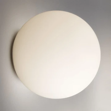 Artemide AR 1039110A - Plafon łazienkowy DIOSCURI 1xE14/6W/230V IP44