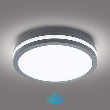 Brilagi - Lampa zewnętrzna LED z czujnikiem BENE LED/24W/230V śr. 26 cm antracyt IP54
