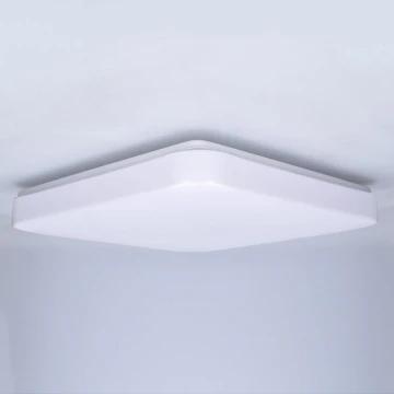 Brilagi - LED Plafon PLAIN LED/24W/230V 3000K