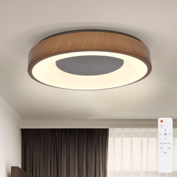 Brilagi - LED Plafon ściemnialny DORIA LED/48W/230V 3000-6500K śr. 39 cm + pilot zdalnego sterowania