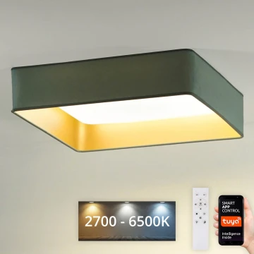 Brilagi - LED Plafon ściemnialny VELVET SQUARE SMART LED/36W/230V 2700-6500K Wi-Fi Tuya + Pilot zdalnego sterowania miętowy