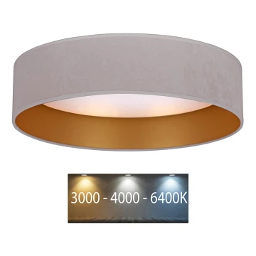 Brilagi - LED Plafon VELVET LED/12W/230V śr. 30 cm 3000K/4000K/6400K kremowy/złoty