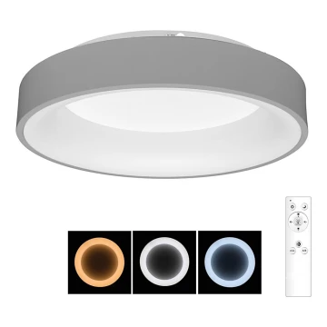 Brilagi - LED Ściemniany plafon LED/40W/230V 3000-6500K grey + pilot