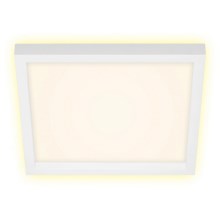 Briloner 7362-016 - LED Plafon CADRE LED/18W/230V 29,6x29,6 cm biały