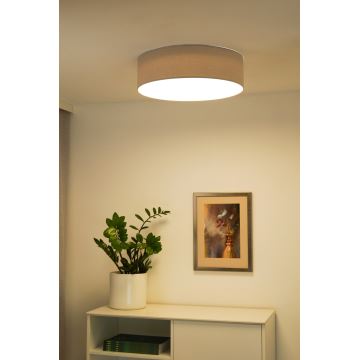 Duolla - LED Plafon CORTINA LED/26W/230V śr. 30 cm szary