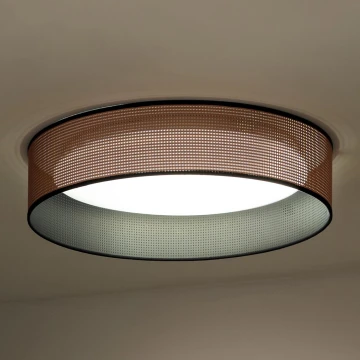 Duolla - LED Plafon ROLLER LED/24W/230V miedź/czarny