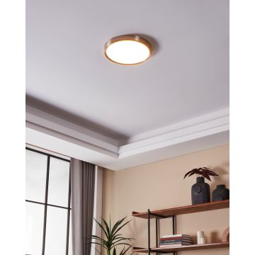 Eglo - LED Ściemniany plafon łazienkowy LED/19,5W/230V 2700-6500K IP44 ZigBee