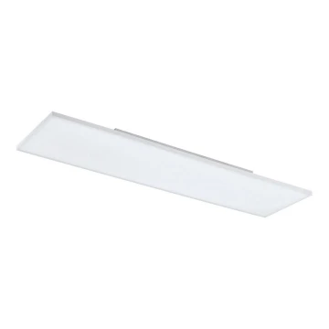 Eglo - LED Plafon LED/33W/230V