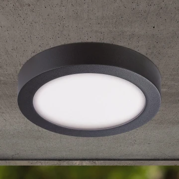 Eglo - LED Plafon zewnętrzny LED/16,5W/230V