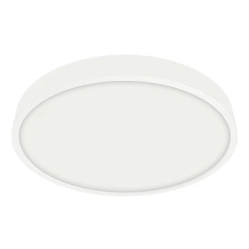 Emithor 49035 - LED Łazienkowe oświetlenie sufitowe LENYS LED/12W/230V IP44