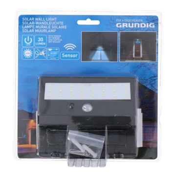 Grundig - LED Oświetlenie solarne z czujnikiem 1xLED/0,25W/1xAA