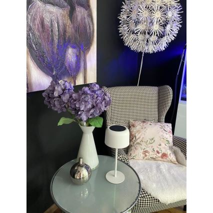 LED Zewnętrzna lampa solarna ściemnialna LED/4W/5V 3600mAh IP44