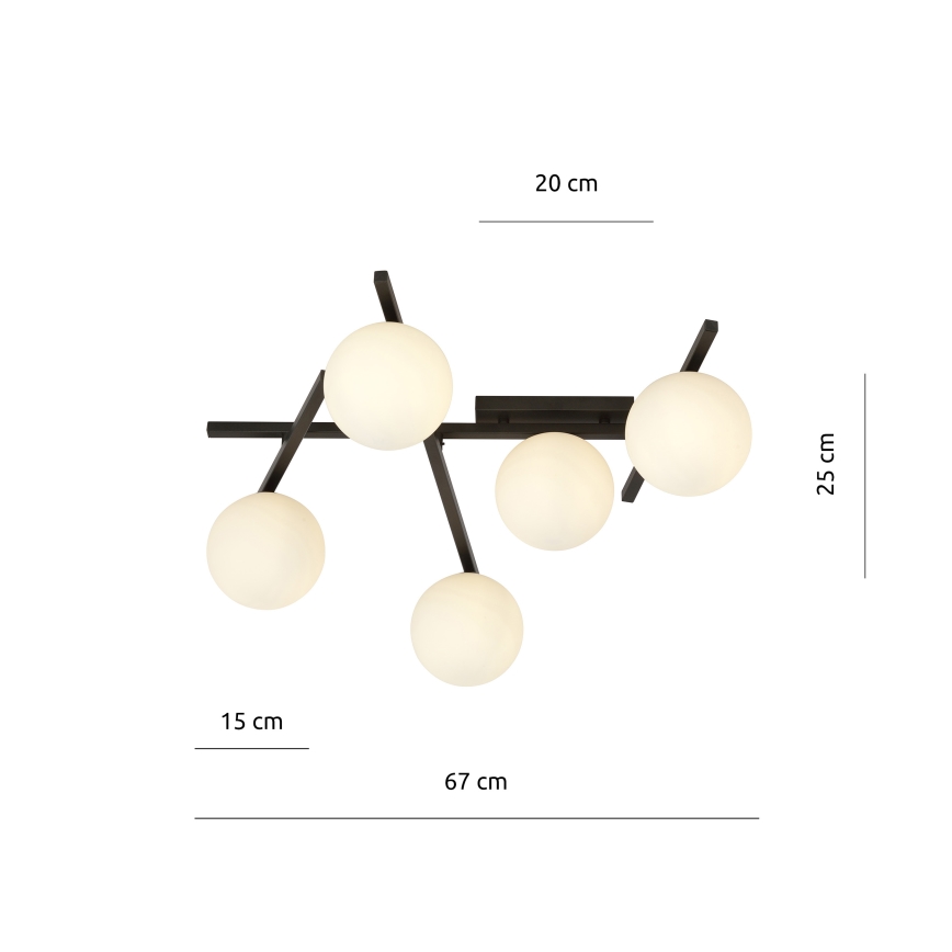 Lampa sufitowa SMART 5xE14/10W/230V czarna/biała