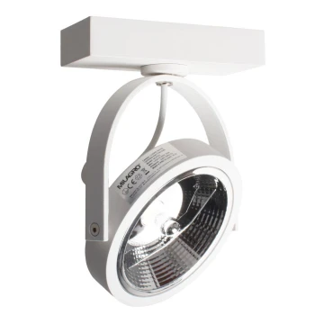 LED Kinkiet punktowy LUGAR 1xAR111 - GU10/25W/230V