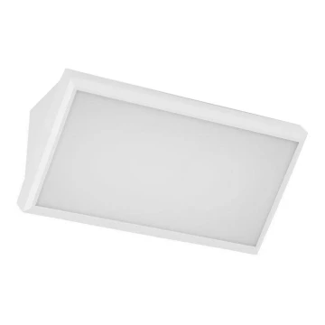 LED Kinkiet zewnętrzny LED/20W/230V 4000K IP65 biały