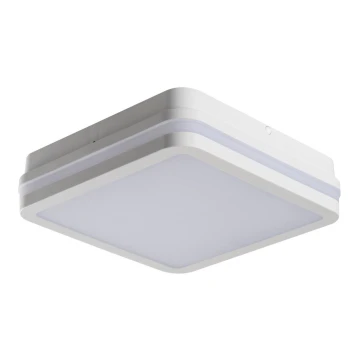 LED Lampa natynkowa BENO LED/18W/230V 3000K Biała IP54