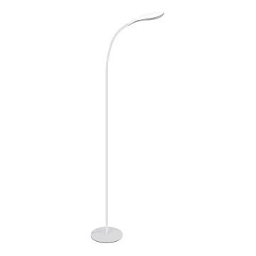 LED Lampa podłogowa SWAN LED/6,5W/230V biały