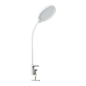 LED Lampa stołowa ściemnialna LIPA LED/10W/230V 3000-6000K biały