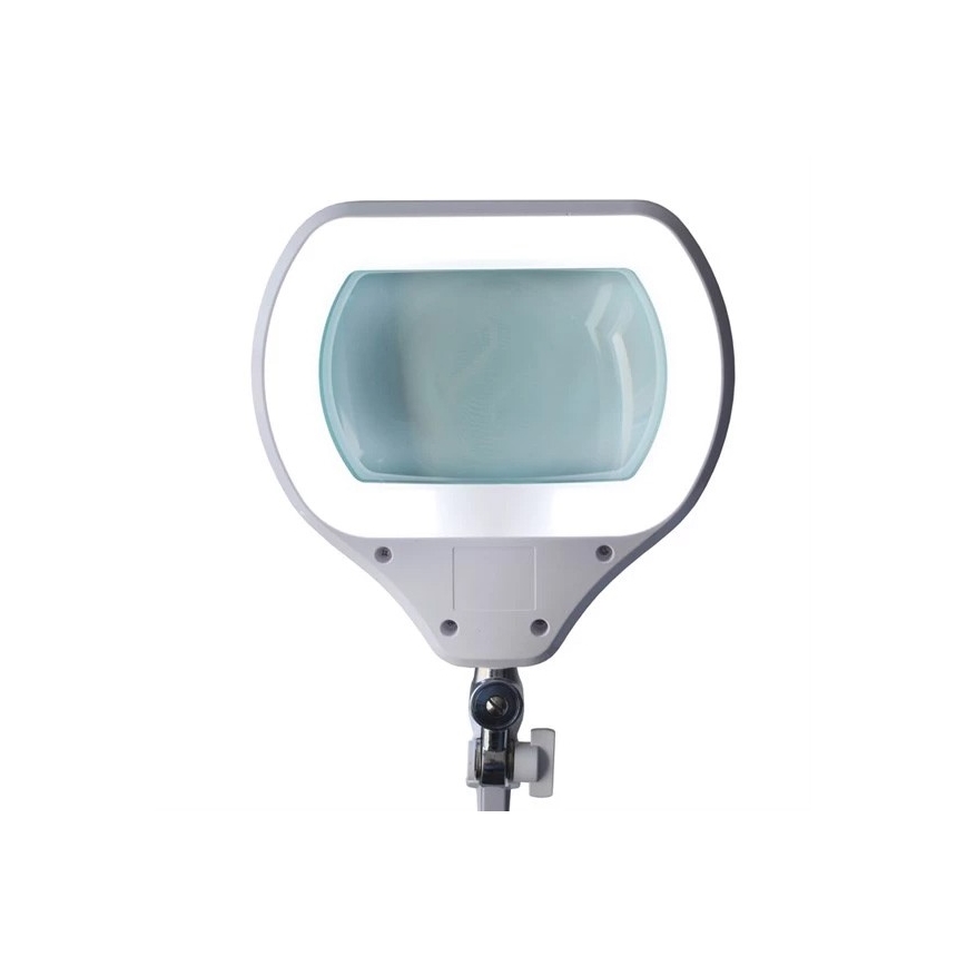 LED Lampa stołowa ściemnialna z lupą LED/12W/230V biały