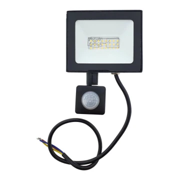 LED Naświetlacz z czujnikiem LED/30W/230V IP44