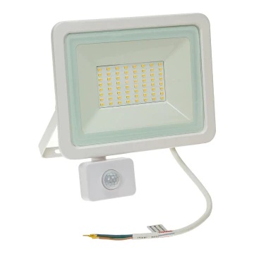LED Naświetlacz zewnetrzny z czujnikiem NOCTIS LUX 2 LED/50W/230V 4000K IP44 biały