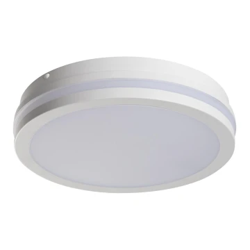 LED Oświetlenie zewnętrzne BENO LED/24W/230V IP54 białe