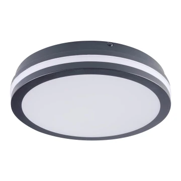 LED Oświetlenie zewnętrzne BENO LED/24W/230V IP54 szare