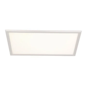 LED Panel LED/24W/230V 4000K