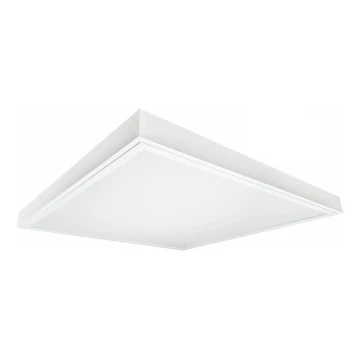 LED Panel natynkowy ILLY LED/42W/230V