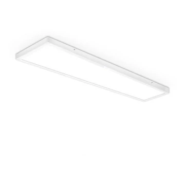 LED Panel natynkowy OREGA LED/40W/230V 4000K IP40