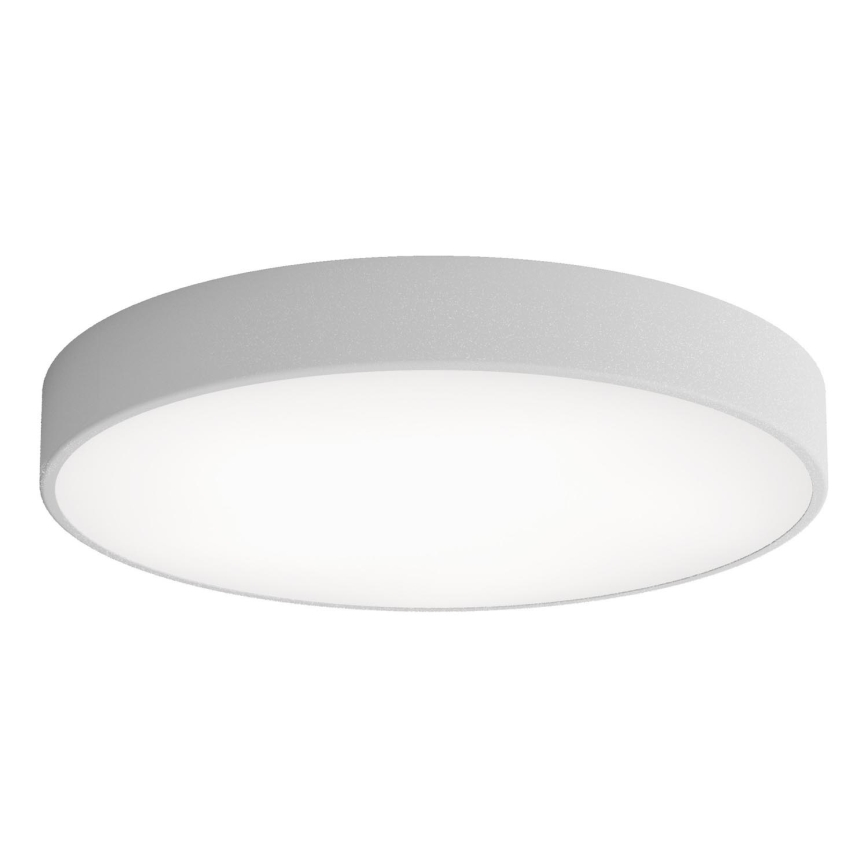 LED Plafon CLEO LED/69W/230V 3000K śr. 60 cm szary