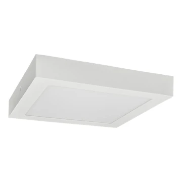 LED Plafon FENIX LED/12W/230V 3800K 17 cm