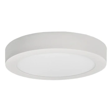 LED Plafon FENIX LED/18W/230V 3800K śr. 22,5 cm