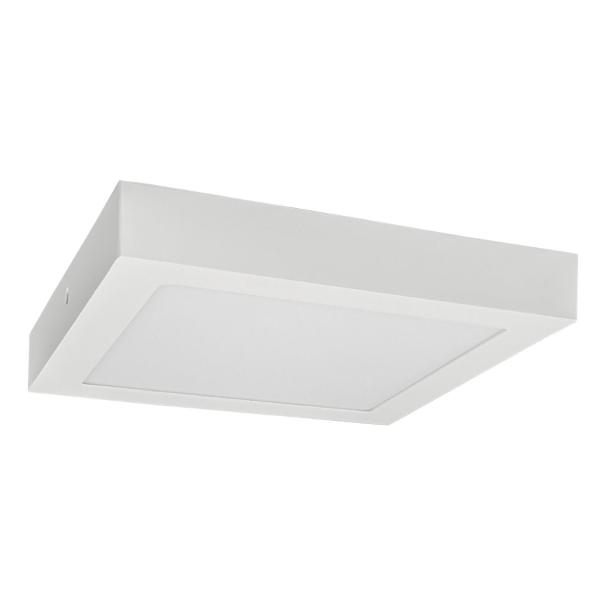 LED Plafon FENIX LED/24W/230V 2800K 29,8 cm