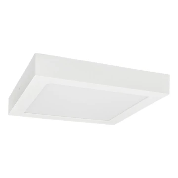 LED Plafon FENIX LED/24W/230V 3800K 29,8 cm śnieg biały