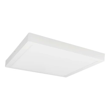 LED Plafon FENIX LED/32W/230V 3800K 40 cm śnieg biały