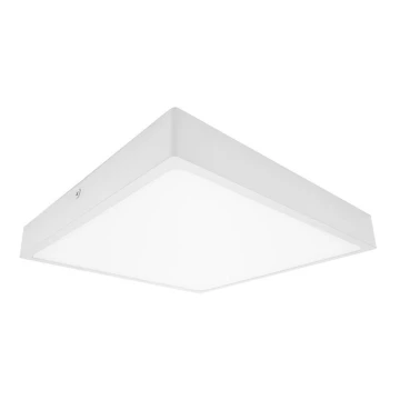 LED Plafon łazienkowy EGON LED/30W/230V IP44 4000K