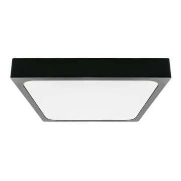 LED Plafon łazienkowy LED/18W/230V 6500K IP44 czarny