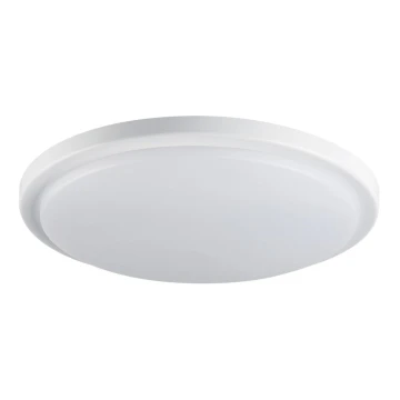 LED Plafon łazienkowy ORTE LED/24W/230V IP54