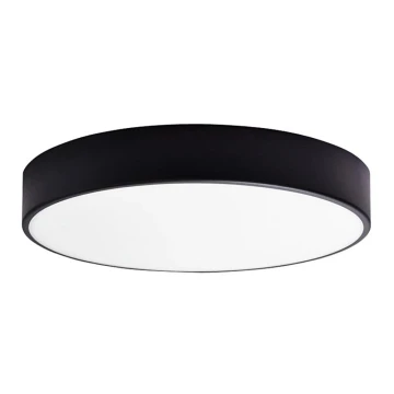 LED Plafon łazienkowy RENE LED/15W/230V IP44 czarny