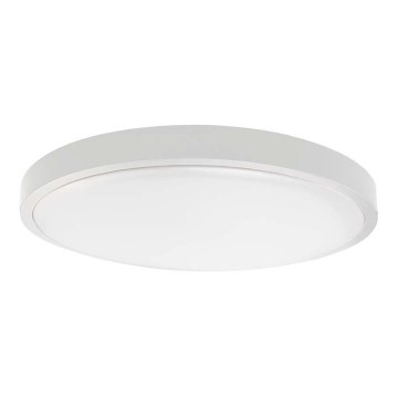 LED Plafon łazienkowy SAMSUNG CHIP LED/18W/230V IP44 6500K śr. 25 cm biały