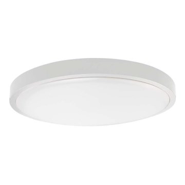 LED Plafon łazienkowy SAMSUNG CHIP LED/24W/230V IP44 6500K śr. 29 cm biały