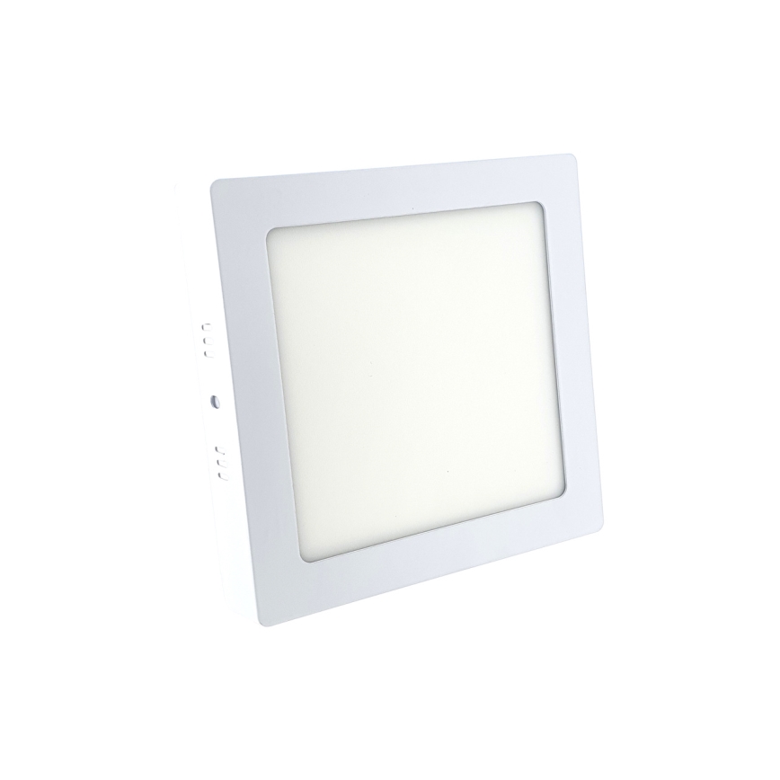 LED Plafon LED/12W/230V 6500K