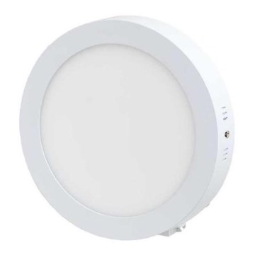 LED Plafon LED/12W/230V