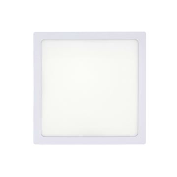 LED Plafon LED/18W/230V 2700K