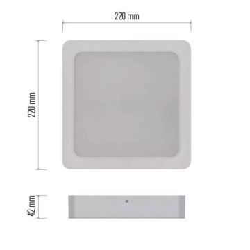 LED Plafon LED/24W/230V 22x22 cm biały