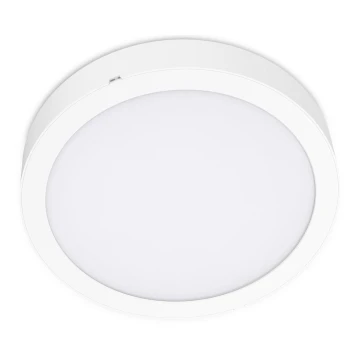 LED Plafon SIGARO CIRCLE LED/18W/230V 4000K IP40