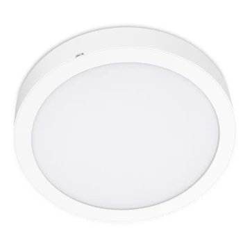 LED Plafon SIGARO CIRCLE LED/24W/230V 4000K IP40