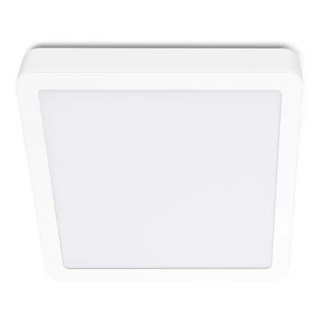 LED Plafon SIGARO SQUARE LED/18W/230V 4000K IP40